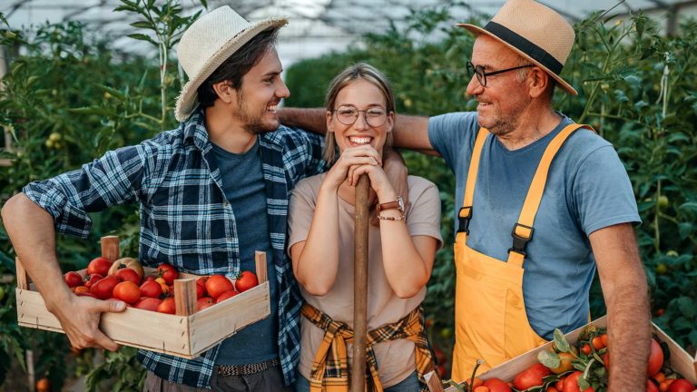 L'instant Gourmand Grenoble Livraison Plateaux Repas Entreprise Bureaux