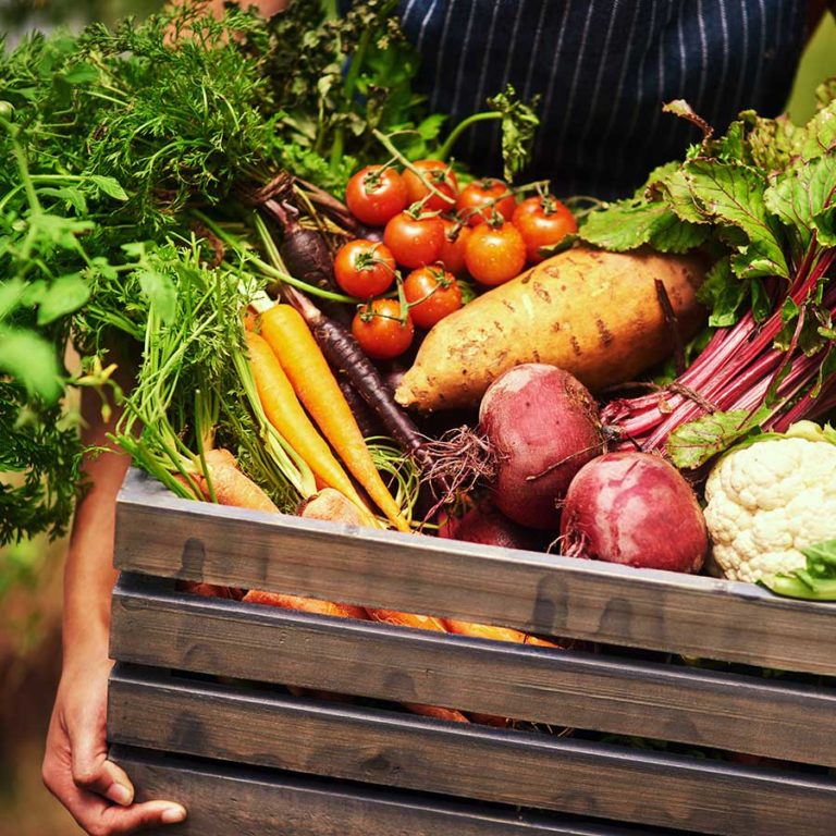 L'instant Gourmand Grenoble Livraison Plateaux Repas Entreprise Bureaux